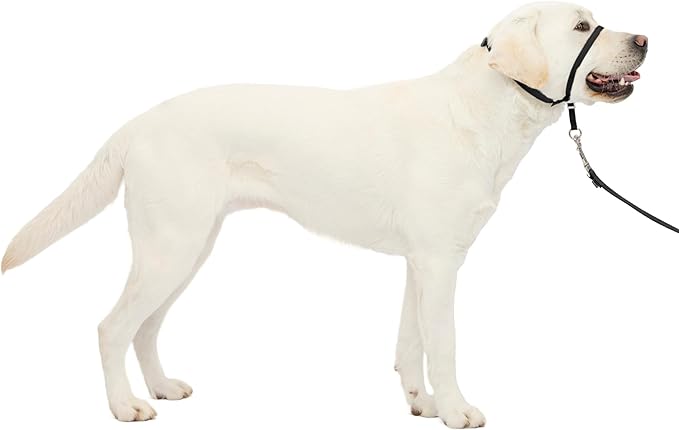 PetSafe Gentle Leader No-Pull Headcollar - Breathable Lightweight Walking Halter - Minimal Strap Design & Padded Nose Loop - Snout-Specific Fit - Helps Gain Easy Control