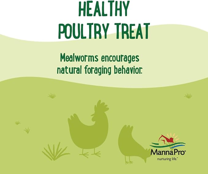 Manna Pro Farmhouse Favorites Mealworms Poultry Treat - Protein Treat for Poultry - Chickens, Turkeys, Ducks, Geese, and Guinea Fowl Treat - Contains 50% Protein - 100% Natural Poultry Snack - 2lbs