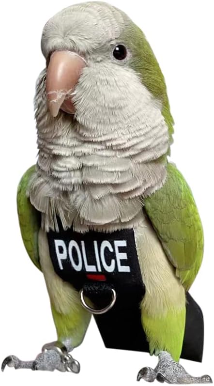 Bird Clothes Parrot Diapers Bird Flight Suits, Reusable Waterproof Diapers pet Bird Supplies (4XL)