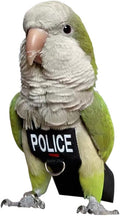 Bird Clothes Parrot Diapers Bird Flight Suits, Reusable Waterproof Diapers pet Bird Supplies (4XL)