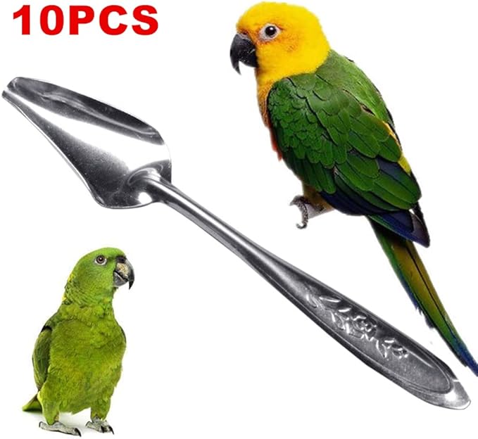 10 PCS Bird Feeder Spoons Stainless Steel Milk Medicine Parrot Feeding Scoops Hand Feeding Spoons for Peony Cockatiel Parrot