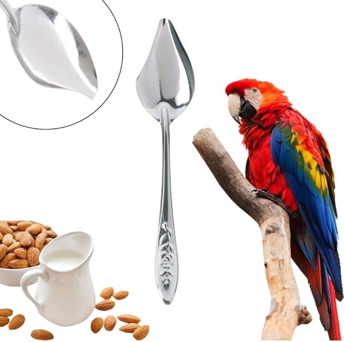 10 PCS Bird Feeder Spoons Stainless Steel Milk Medicine Parrot Feeding Scoops Hand Feeding Spoons for Peony Cockatiel Parrot