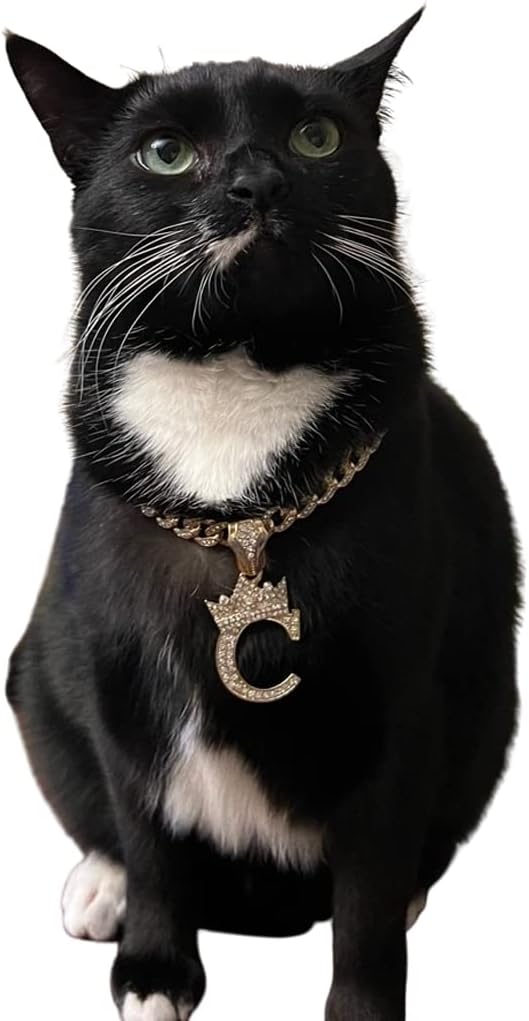 Initial Letter Cuban Chain Dog Chain Pet Chain Pet, Cat, Puppy Necklace (C, 20")