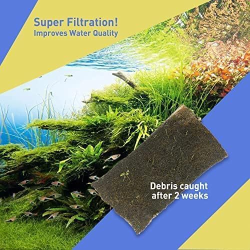The 2 Gallon Betta Fish Tank Starter kit Comes with White Cotton and is Replaced Every 2-3 Days to Ensure Good Water Quality for Fighting Fish, Shrimp, Guppy Jellyfish