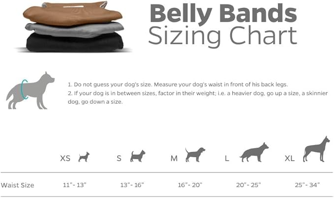 Pet Parents® Washable Belly Bands for Dogs (3pack) + Extendrs® Durable Dog Diapers - Premium Male Dog Diapers & Wraps (X-Small, Black)
