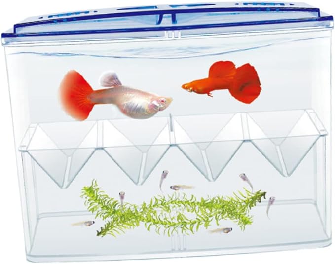 1pc Small Fish Breeding Tank Breathing Freestanding Self-Floating Isolation Box for Hatching and Incubation of Fish Fry
