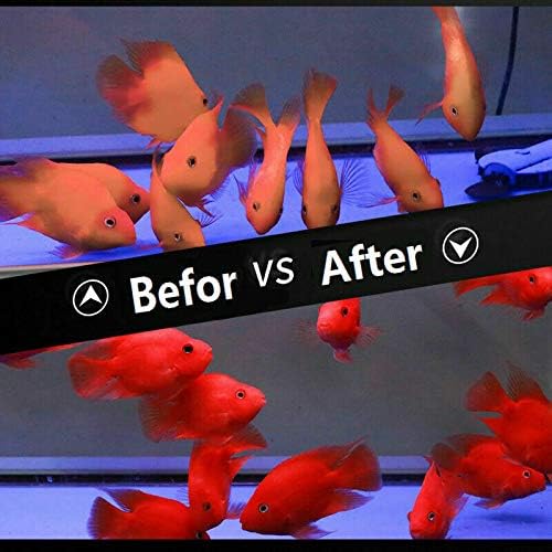 High Protein Floating Sticks Fish pellets for Arowana,Oscars,Flower Horns,Red Parrots Arowana pellets,1kg (2.2lb) (Parrot Fish Pellets)