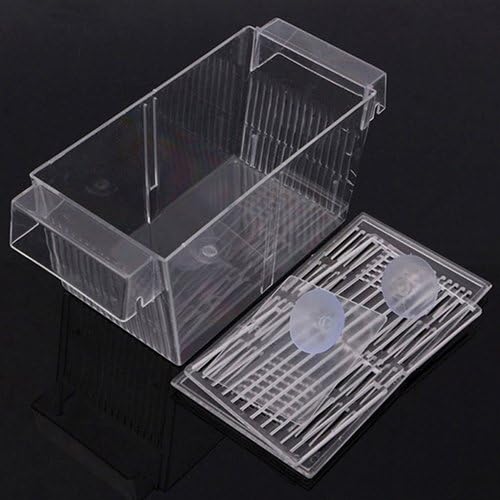 Fish Breeding Box Tank Aquarium Fish Tank Guppy Double Breeding Breeder Rearing Trap Box Hatchery Aquarium Isolation Box for Baby Shrimp Guppy