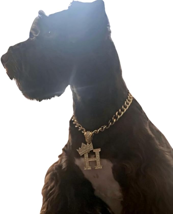 Initial Letter Cuban Chain Dog Chain Pet Chain Pet, Cat, Puppy Necklace (H, 28")