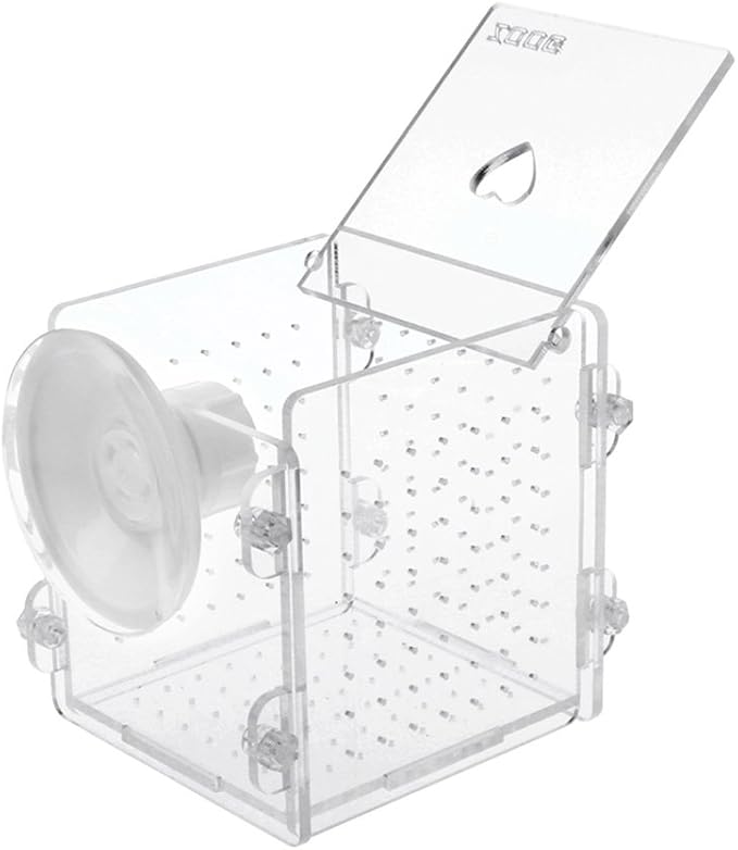 Fish for Tank Hatchery Incubator Aquarium Breeding Box Acrylic Breeder Isolation Hatching Boxes with Suction Cup on Large Net Mesh Aquarium Small Floating Large Mesh