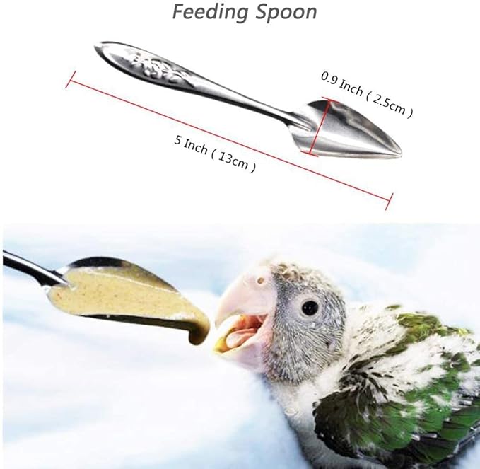 10 PCS Bird Feeder Spoons Stainless Steel Milk Medicine Parrot Feeding Scoops Hand Feeding Spoons for Peony Cockatiel Parrot