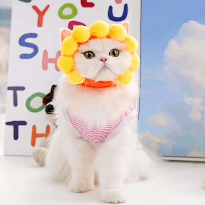 5 Pcs Cat Costume Hats – Cute Lion Mane & Bunny Ears Headwear for Cats,Kitten Puppy Party Easter Costume Accessory Headwear(Lion,Bunny,Frog,Sunflower,Bear)