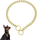 Chain Choke Collar for Dogs, Metal Slip Link Training Heavy Duty Dog Collar Martingale Puppy Collars for XXS XS Small Medium Large Big XL Breed Dogs (Gold, S(Neck Max 16inch) D2.5mm)