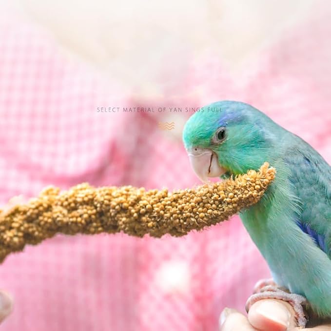 MANON ROSA Natural Spray Millet Healthy Bird Treat and Supplement for All Pet Birds Cockatiel Budgie Finches Parrots Hamster (S(5))