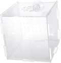 Modern Fish Tank Isolation Box Acrylic Fish Breeding Tank for Betta Guppy Suction Cups and Divider