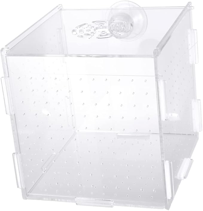 Modern Fish Tank Isolation Box Acrylic Fish Breeding Tank for Betta Guppy Suction Cups and Divider