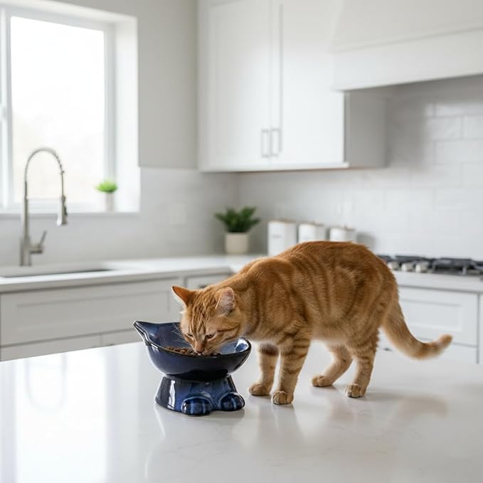 Nihow Slanted Elevated Cat Bowls: 6.25 Inch Ceramic Raised Cat Food Bowl for Protecting Pet's Spine - Microwave & Dishwasher Safe -Elegant Blue & Black (6.8 OZ /1 PC)