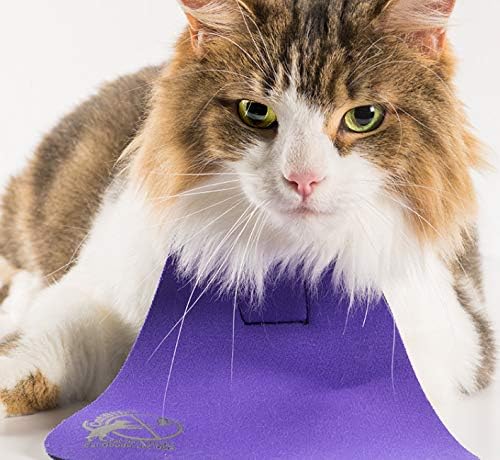 Bird Saving Cat Collar, Prevent Cats from Catching & Killing Birds, Anti Hunting Colorful Bib to Save Birds & Other Wildlife (Small, Turquoise)