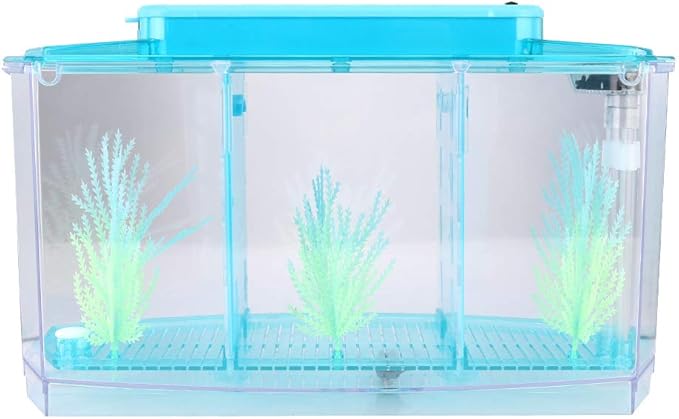 Small Fish Isolation Fish Tank, LED Acrylic Aquarium Fish Tank, Transparent Fish Isolation Box with 2 Isolation Plates for Small Fishes Betta Shrimp Guppy (Blue)