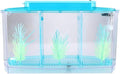 Small Fish Isolation Fish Tank, LED Acrylic Aquarium Fish Tank, Transparent Fish Isolation Box with 2 Isolation Plates for Small Fishes Betta Shrimp Guppy (Blue)