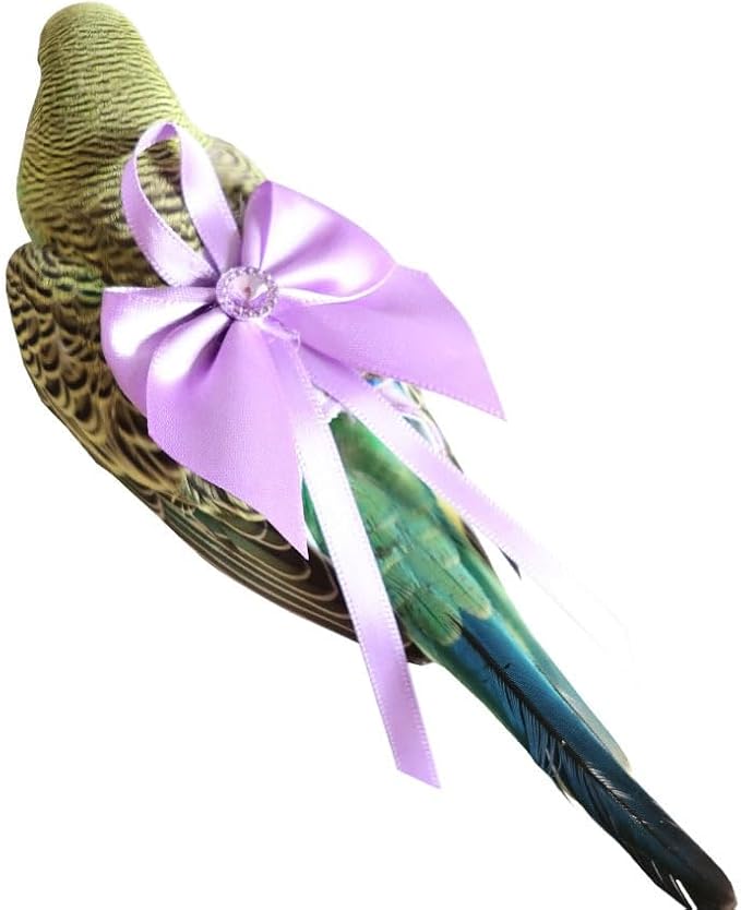 6pcs Bow Bird Diaper Set, Soft Reusable Flight Suit Clothing for Parrots Budgies Cockatiels — Cleaner Indoor Bonding & Training(L)