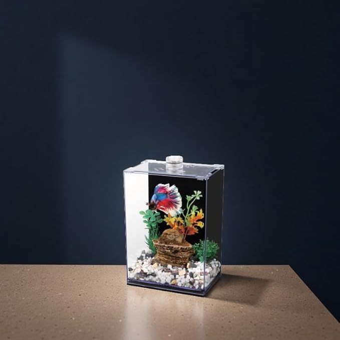 Betta Fish Tank with LED Light, 15x10x20 cm, Acrylic Aquarium with Cover and Black Wall Paper