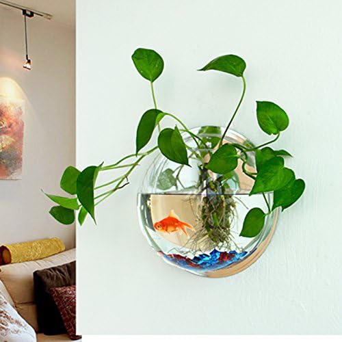 Acrylic Wall Mounted Fish Bowl, Hanging Aquarium Transparent Plastic Bubble Gold & Betta Fish Tank,Round Pot Flower Plant Vase Home Decoration (M: 235mm)