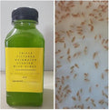 Starter Booster Pack 100+ Water Daphnia and 3 Triple Filtered Rainwater Starter