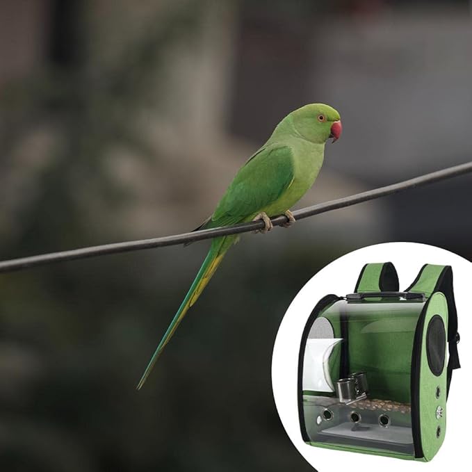 Compact Carrier for Birds with Clear View and Travel Features, Green