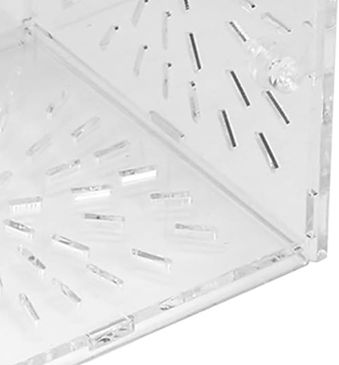 Acrylic Transparent Fish Tank Breeding Isolation Box, Aquarium Hatchery Incubator Holder with Adjustable Height and Dual Fixation for Freshwater Saltwater Tanks (10CM*10CM*10CM)