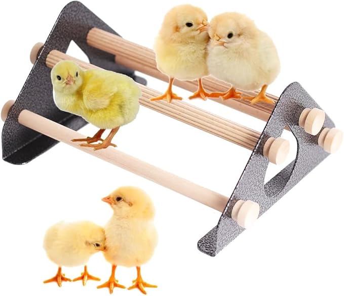 Baby Chick Playpen and Perch with Roosting Bars for coop and brooder, Brooder Box for Chick Fence, Portable Small Animals Playpen Cage Tent Black (Black, Chick Playpen + Perch)