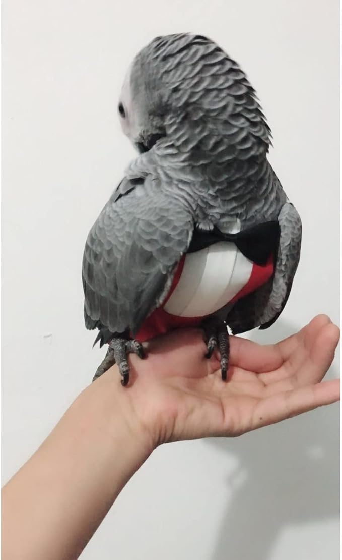 Bird Flight Suits Diapers, Parrot Flight Suits Diapers for Monk Parakeets, Cockatiels Flight Suits, Parrot Clothes, Bird Training Nappy Suit Liners Clothes (Large,Red)