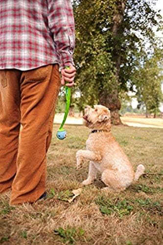 Chuckit Gen 1 Fetch Pack Dog Balls - Interactive Dog Toys, High-Bounce Fetch Ball, Floating Ultra and Rugged Balls, Durable - Size Medium, 2.5-inch Diameter, Set of 3