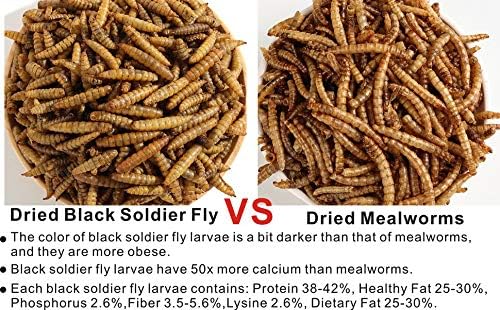 HANDPOINT 20LBS Black Soldier Fly Larvae Superior to Dried Mealworms for Chickens - Non-GMO - Treats for Birds Chickens Hedgehog Hamster Fish Reptile Turtles (20LB)