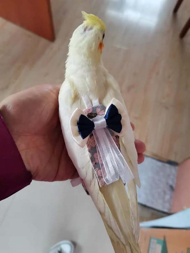 Bird Flight Suits Diapers for Monk Parakeets, Cockatiels, Parrot Clothes, Training Nappy Suit Liners (Medium, Navy)