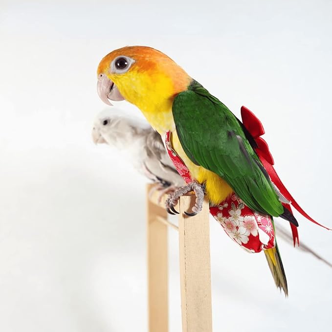 Bird Flight Suits Diapers, Parrot Flight Suits Diapers for Monk Parakeets, Cockatiels Flight Suits, Parrot Clothes, Bird Training Nappy Suit Liners Clothes (Medium,Black)