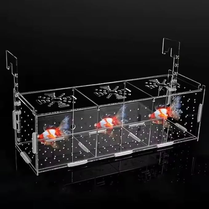 Aquarium Isolation Box Transparent Acrylic Fish Tank Small Fry Breeding Box Single Grid Double Grid Aquarium Supplies