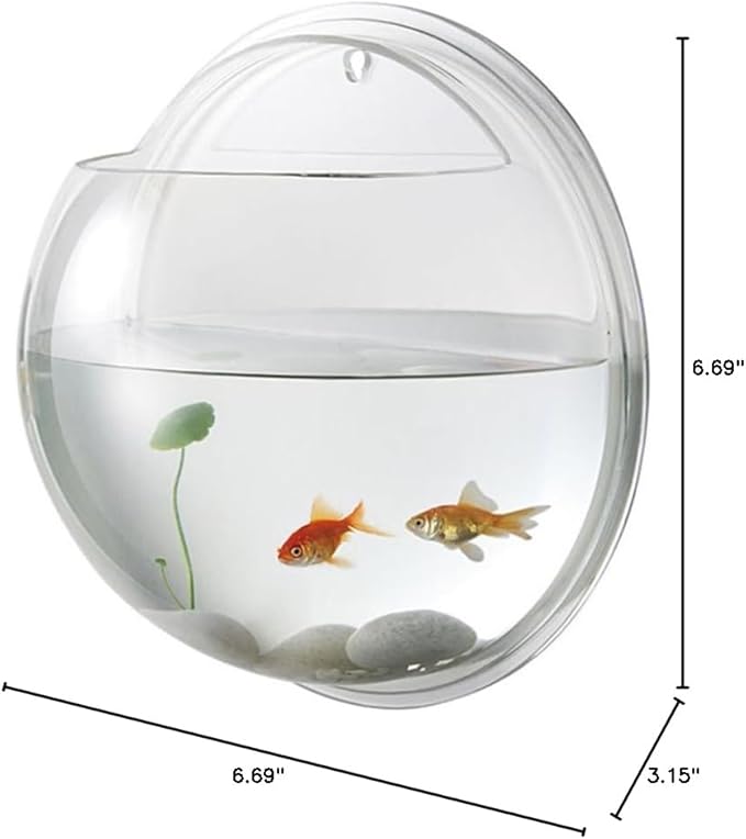 balacoo Wall Mounted Fish Tank 6.7 Inch Acrylic Aquarium with Hanging Design for Home Decor Transparent Fish Bowl with Random Aquatic Plants Ideal for Betta and Small