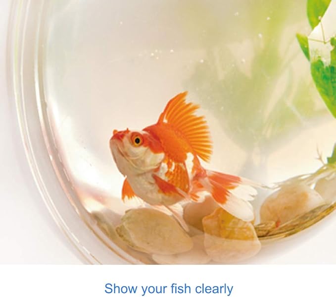 Wall Fish Bowl, Small Hanging Goldfish Fish Tanks, Clear Acrylic Betta Fish Tank, for Aquarium Wall Plant Pot Decoration Planter Flower