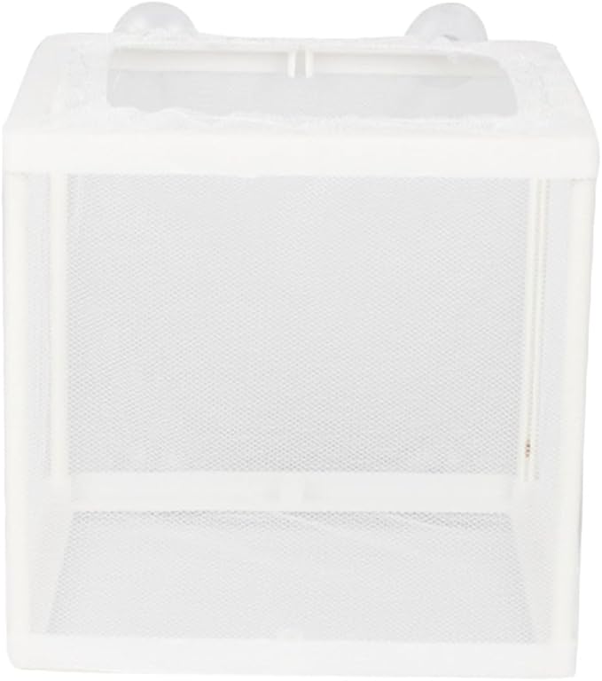 Milisten 2pcs Tropical Fish Breeding Tank Cup Isolation Box for Fish Easy to Install Aquarium Incubator Net for Safe Breeding and Hatching Color