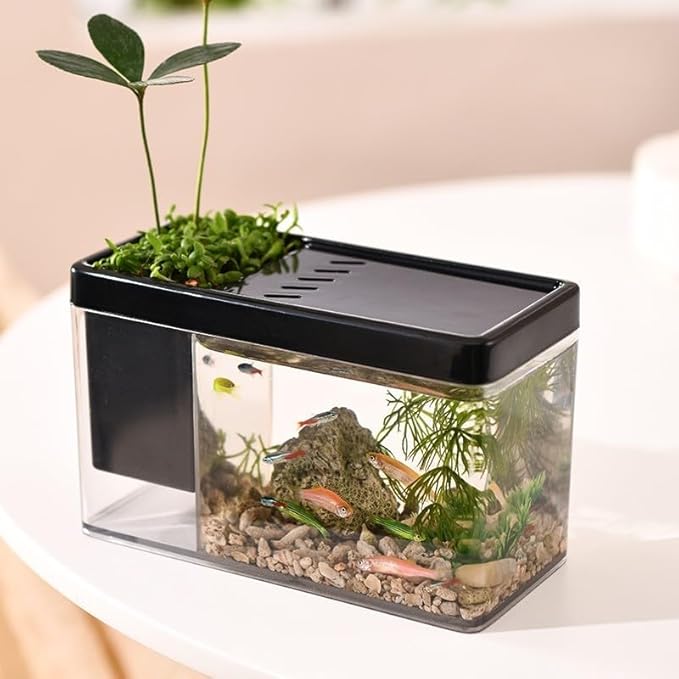 Mini Betta Fish Aquarium, Multi-Purpose Desktop Office Tank, 0.2 Gallon Plastic Gold Fish Tank - Create Different Desktop Landscape (Black)