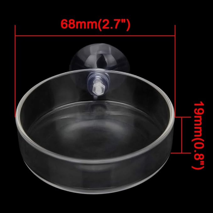 Senzeal 2PCS Shrimp Feeding Dish Glass Aquarium Fish Tank Reptiles Round Feeder Bowl with Suction Cup