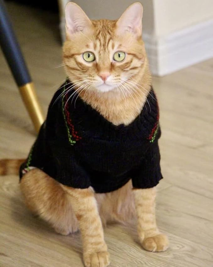 Cat Sweater Christmas Santa Claus Pet Cat Winter Knitwear Warm Clothes