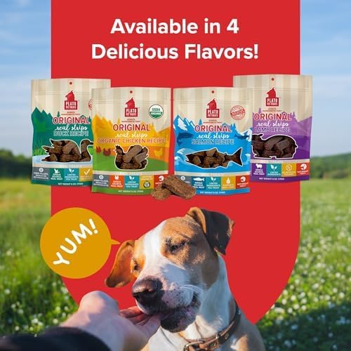 PLATO Pet Treats Real Strips - Air-Dried Meat Bars for Dogs - Delicious, Limited Ingredient Dog Treats - Grain Free Dog Treats - Original Real Strips Organic Chicken 18oz - 2 Pack