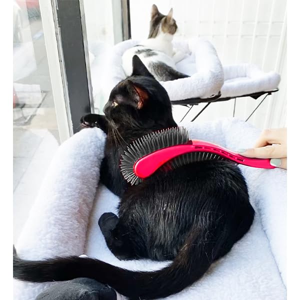 Cat Brush, Black. Designed for Comfort, Created for Cats and Dogs. Ergonomic shape promotes stress free grooming. Great for long to short haired cats. Made in the USA