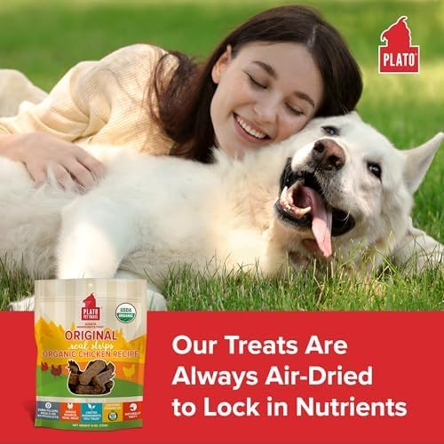 PLATO Pet Treats Real Strips - Air-Dried Meat Bars for Dogs - Delicious, Limited Ingredient Dog Treats - Grain Free Dog Treats - Original Real Strips Organic Chicken 18oz - 2 Pack
