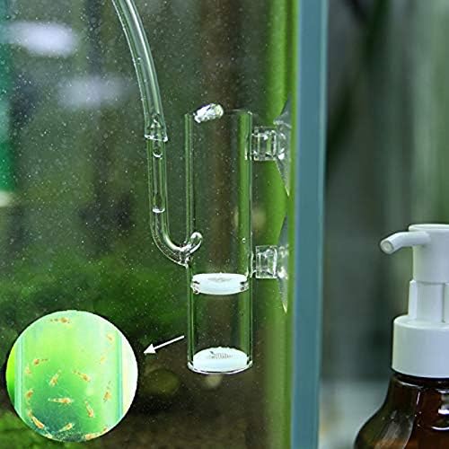 Aquarium Crystal Cherry Red Shrimp Egg Incubator Tumbler, Glass, 20mm, Shrimp Hatchery, Mouth-Brooding, Pneumatic, Egg-Rocker
