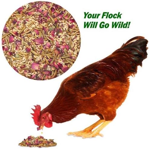 Exotic Nutrition Bee-Tastic - Healthy All-Natural Chicken Treat - Dried Insects, Flowers, Herbs Wheat Berries & Bee Pollen - Promotes Healthy Chickens & Eggs (1.5 lbs)