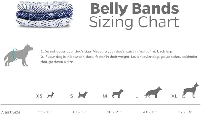 Pet Parents® Washable Belly Bands for Male Dogs (3pack) + Extendrs® of Durable Dog Diapers Male, Premium Male Dog Diapers & Dog Wraps (Medium, Kahuna)