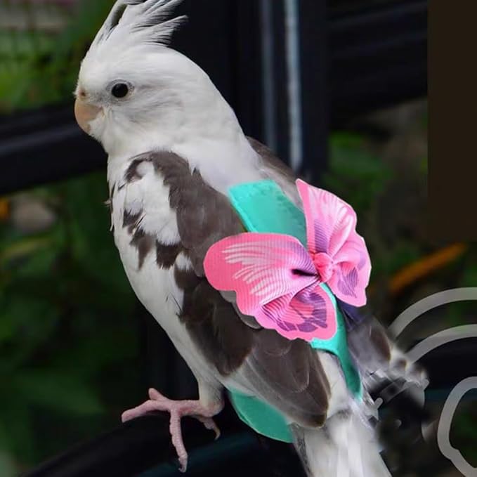 Escape-Proof Parrot Harness & Leash Set with Diaper - Adjustable Flight Suit with Bow & Safety Cord for Conures, African Grey, Parakeets, Doves (Pink-L)
